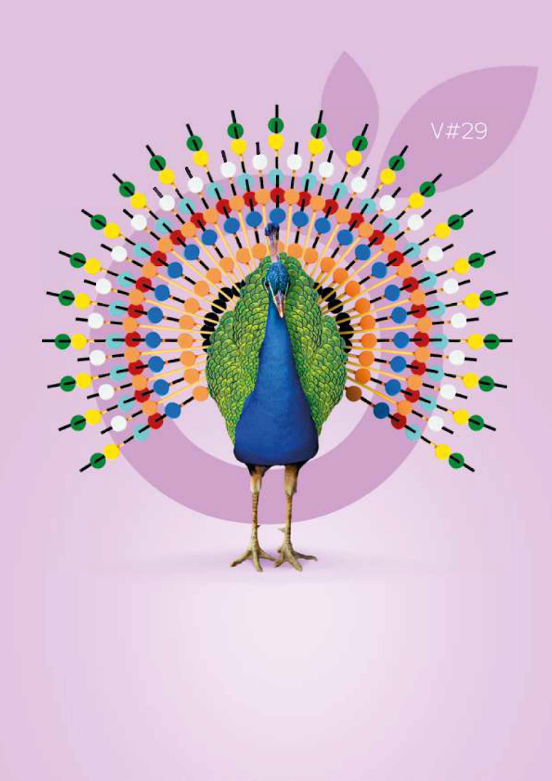 CATERING BIODEGRADABLE FOOD AND BEVERAGE PACKAGING